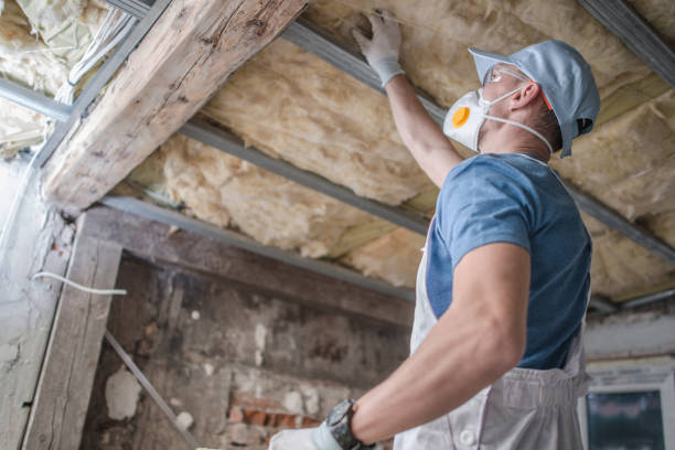  Duluth, GA Insulation Contractor Pros