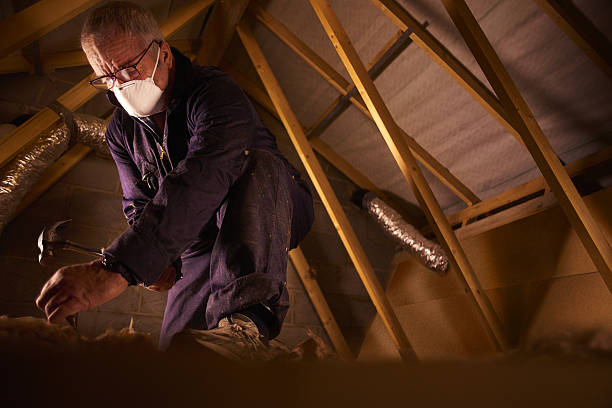 Best Types of Insulation in Duluth, GA